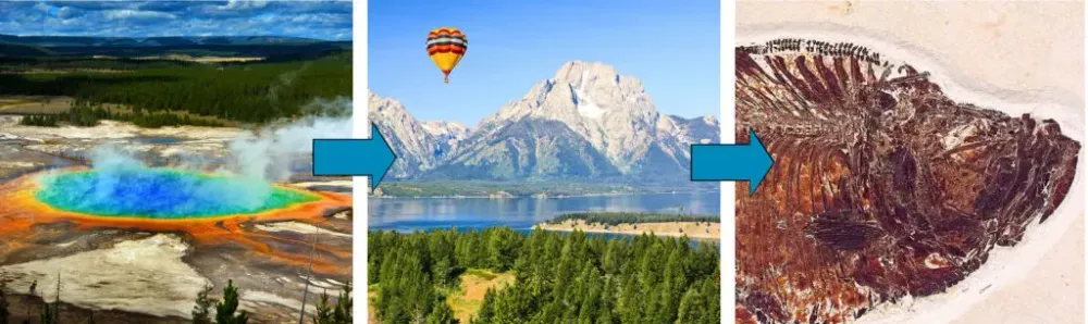 A graphic showing three images of Yellowstone, Grand Teton, and a fossil from Fossil Butte National Monument with arrows between, indicating the direction flow of a road trip from destination to destination